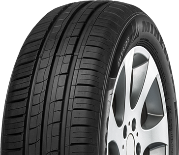 Minerva, 209, 175/55 R15 77T